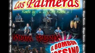 El bombon Asesino  Los Palmeras Mega Remix [upl. by Boyt154]