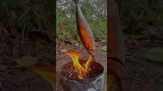 Single mom show SMART idea for survival in forest camping outdoor bushcraft lifehacks [upl. by Efrem201]