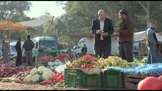 Le Maroc vert  lagriculture familiale au coeur du développement [upl. by Quita]