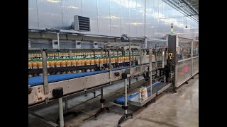 16681 PET bottle blowing filling capping labelling and palletizing line for fruit juices [upl. by Namreh]