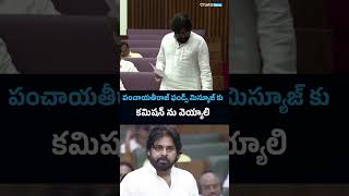 Deputy CM Sri Pawan Kalyan Speech In Andhra Pradesh Legislative Assembly  chotanewsofficial [upl. by Norford]