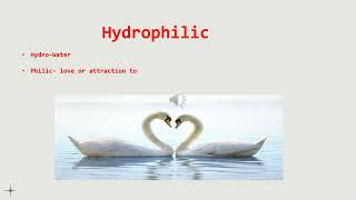 Hydrophilic vs Hydrophobic [upl. by Akemaj369]