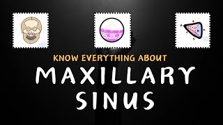 Space inside your Maxilla Know everything about Maxillary Sinus [upl. by Aid]