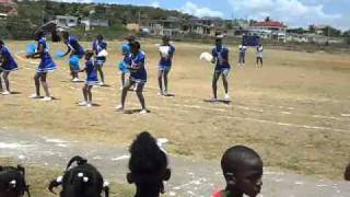 longville park sector u cheerleaders 2011 winners [upl. by Morlee813]