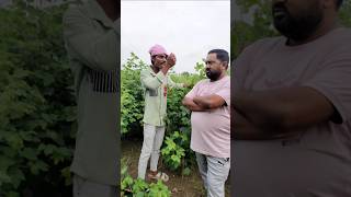 मारी मेहनत नु कपास 😂👍 पिन्जु मावी विपुल भाई कॉमेडी pinjumavi vlog aadivasicomedy minivlog funny [upl. by Symon]