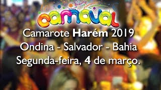 Camarote Harém  Carnaval Salvador 2019  Segundafeira [upl. by Mimi14]