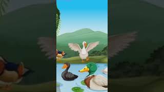 Animal live on land and waterblackmask facts viralvideo [upl. by Phare]