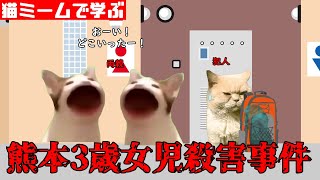 猫ミームで学ぶ熊本3歳女児殺害事件 猫マニ 猫ミーム [upl. by Adlog]