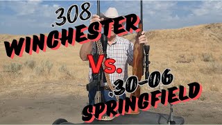 3006 Spr vs 308 Win Comparison or Contrast [upl. by Ahsatsana]