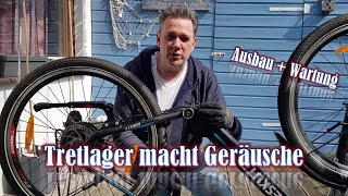 Tretlager ausbauen  EBike  wechseln am EBike mit Pedalsensor  eMTB  Fahrrad  Workshop [upl. by Tiebold]