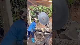 Eucalyptus wood circular saw cutting process Good tools and machinery can increase work efficiency [upl. by Resee]