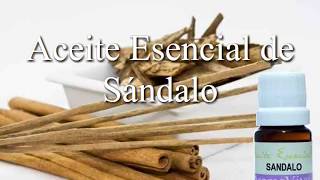 aceite esencial de sandalo [upl. by Tabby970]