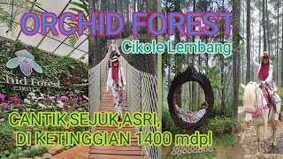 Orchid Forest 2024 seharian saat Weekday naik jembatan gantung turun meluncur😁 Nininenemama214 [upl. by Ahsoik]