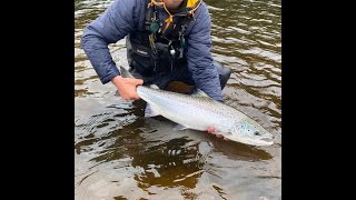 My Approach To Fly Fishing For Salmon This cast helps catch more fish [upl. by Stutzman]