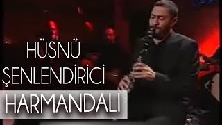 Harmandalı  Hüsnü Şenlendirici [upl. by Los919]