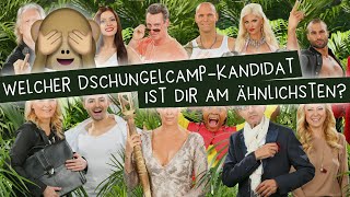 Welcher Dschungelcamp 2016Kandidat ist dir am ähnlichsten [upl. by Akeenahs773]