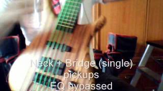 Warwick Infinity SN TCS  Fingerstyle demo [upl. by Fair]