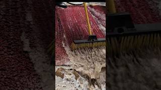 Luxury Thick Red Pile Rug Clean Manual Carpet Cleaning carpetcleaning satisfying [upl. by Antonietta]