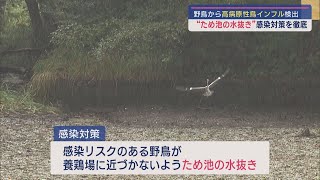 野鳥から今季2例目の鳥インフルエンザが検出 被害防止のために池の水を抜く【新潟】スーパーJにいがた 10月30日OA [upl. by Florentia]