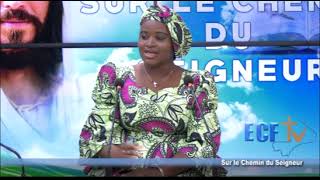 Emission Catholique  Sur Le Chemin du Seigneur  Dimanche 10 Novembre 2024 [upl. by Shig]