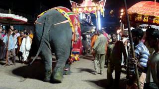 Elephant amp Cart Parade Sri Krishna Math Udupi India [upl. by Taima]