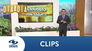 ¿Se dice de pie de pies o en pie  Caracol TV [upl. by Aned]