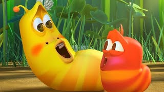 LARVA  LARVA BEBÉS  2018 Película Completa  Dibujos animados para niños  WildBrain [upl. by Annoyed505]