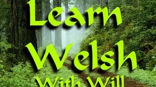 Learn Welsh With Will Ep7  Talking about the weather [upl. by Marijane]