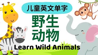 Learn Wild Animals in English amp Chinese Lion Tiger｜幼儿英文单词｜野生动物词汇｜Bilingual Vocabulary for Kids [upl. by Burnard884]