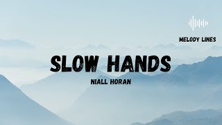 Niall Horan  Slow Hands Lyrics [upl. by Pernell449]