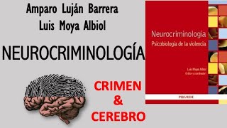 Neurocriminología crimen y cerebro [upl. by Uttica257]