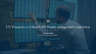 China Bonds  The big picture I Bond Moment with Catherine Reichlin [upl. by Yeliab]