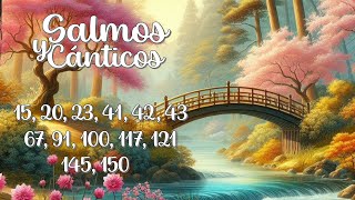 Colección de Salmos y Cánticos🧡Alabanzas al Creador [upl. by Laven921]