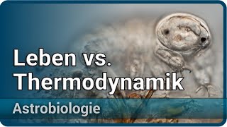 Kann man Leben thermodynamisch Entropie definieren • Astrobiologie 2  Aleksandar Janjic [upl. by Alesram]