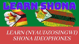 Learn Shona Ideophones Nyaudzosingwi quotmbuu ndoo naquot Ep 1 tutorials shonaland Shona tutorials [upl. by Hsirk]