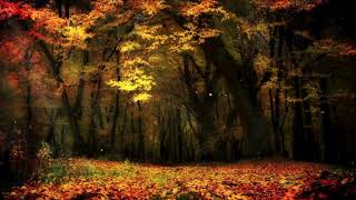 Falling Autumn Leaves ASMR 🍂  Peaceful Nature Sounds for Relaxation ASMR AutumnLeaves NatureSou [upl. by Zachary478]