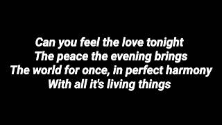 Can you feel the love tonight by Halle Bailey lyrics [upl. by Lednar]