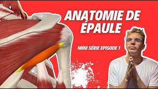 Anatomie de lÉpaule  Tout Ce Que Vous Devez Savoir  💪🦴 [upl. by Enitsyrk169]