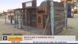 Nick amp Rays Pumpkin Patch [upl. by Atsocal]