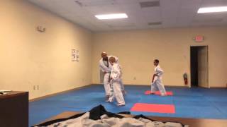 8 Taegeuk Chil Jang  Junior Purple  Tae Kwon Do Form WTF [upl. by Radloff739]