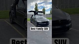 Why the Tesla Model X is the BEST Family SUV 😤 [upl. by Ab]