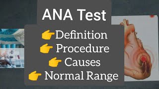 ANA Test  ANA Test Positive  antinuclear anti body test  Procedure [upl. by Havens]