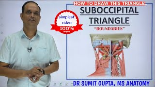 SUBOCCIPITAL TRIANGLE  Boundaries [upl. by Bagger729]