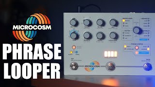 Hologram Electronics Microcosm  Phrase Looper [upl. by Francis]