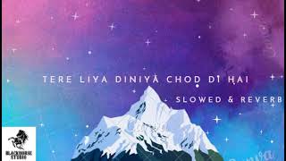 Tere Liye Duniya Chod Di Hai SLOWED amp REVERB [upl. by Suhploda]