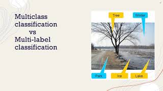 Multiclass Classification vs Multilabel Classification ꟾ Sinhala ꟾ ML Glossary ꟾ Vimuth Shantha [upl. by Atibat]