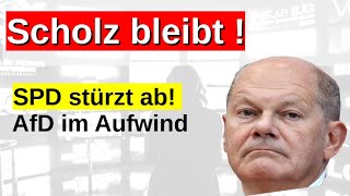 SPD stürzt ab Pistorius Merz Friedenspolitik BSW Sonntagsfrage Wahlumfrage Prognose AfD Gewinne [upl. by Cheshire]