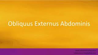 Pronunciation of the words quotObliquus Externus Abdominisquot [upl. by Lledyl]