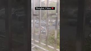 Shanghai’s Strongest Typhoon Since 1949 🌪️ Stay Safe Shanghai 🙏🇨🇳subscribe [upl. by Massab723]