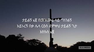 Fenan Befikadu amharic gospel cover song with lyrics [upl. by Morganica]